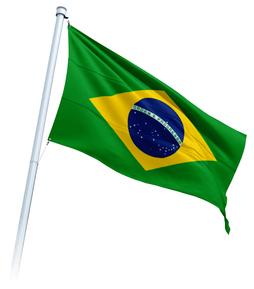 Flag-brasil-1.png